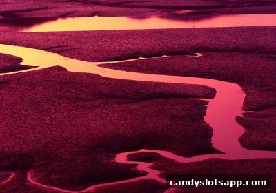 糖果派对电子游艺下载：混合投注玩法深度剖析与策略进阶
