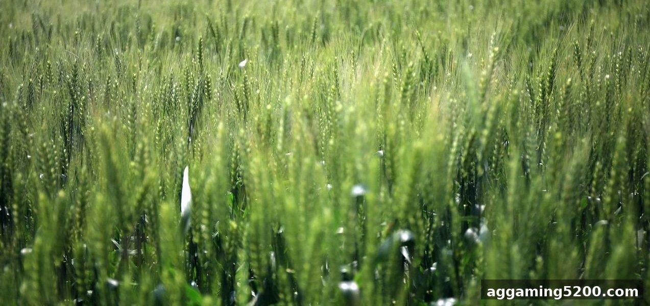 糖果派对电子游艺下载：免押金活动全攻略与龙虎斗体验指南