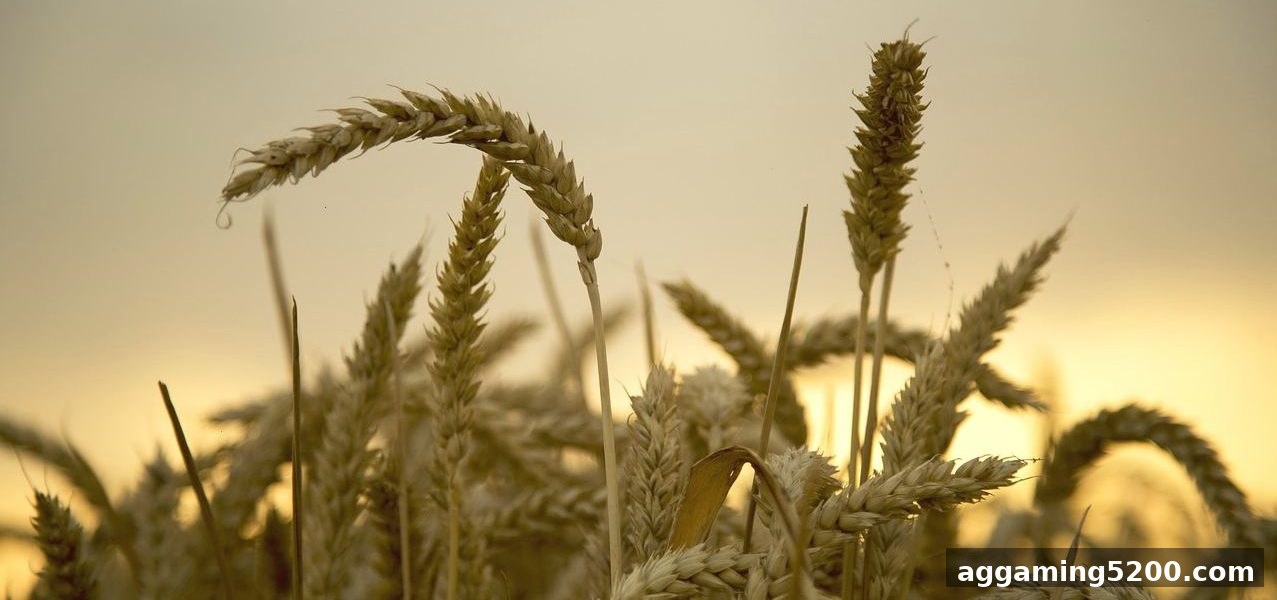 糖果派对电子游艺下载：斗地主首存福利申领攻略，轻松解锁新手礼遇