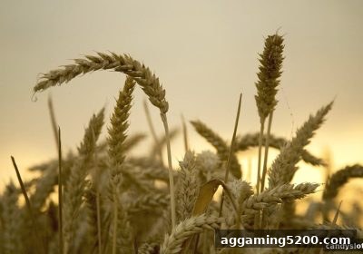 糖果派对电子游艺下载：斗地主首存福利申领攻略，轻松解锁新手礼遇