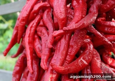 糖果派对电子游艺下载首存红包全攻略：新用户必看福利详解