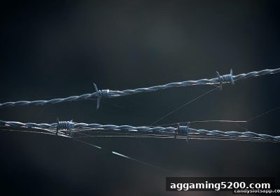 广东麻将平台甄别指南：如何借助糖果派对电子游艺下载的体验标准选出靠谱站点